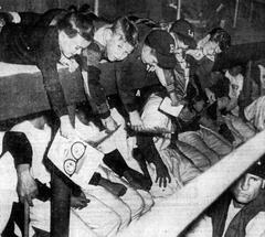 Children on top of the Los Angeles Angels dugout at Wrigley Field reaching down with scorecards for autographs