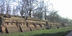Walls Of Ferrara