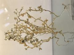 Model of Botrytis cinerea fungus by William A. R. Dillon Weston