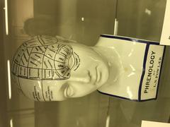 Phrenology bust by Lorenzo Fowler
