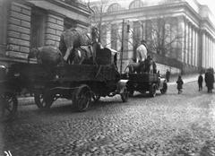 Moving zoological collections to the Zoological Museum at Pohjoinen Rautatiekatu 13