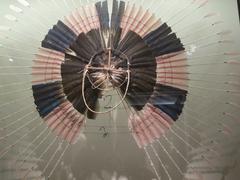 Traditional Rahareto headdress of the indigenous Karaja people from Mato Grosso, Brazil, made of wood, rattan, feathers, and plant fibers.