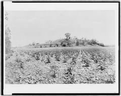Historic black and white photomechanical print of Cahokia Mound in Illinois from October 16, 1907