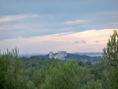 Montmajour Abbey
