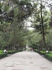 Pathway in Alameda Central park with green grass and benches in Mexico City