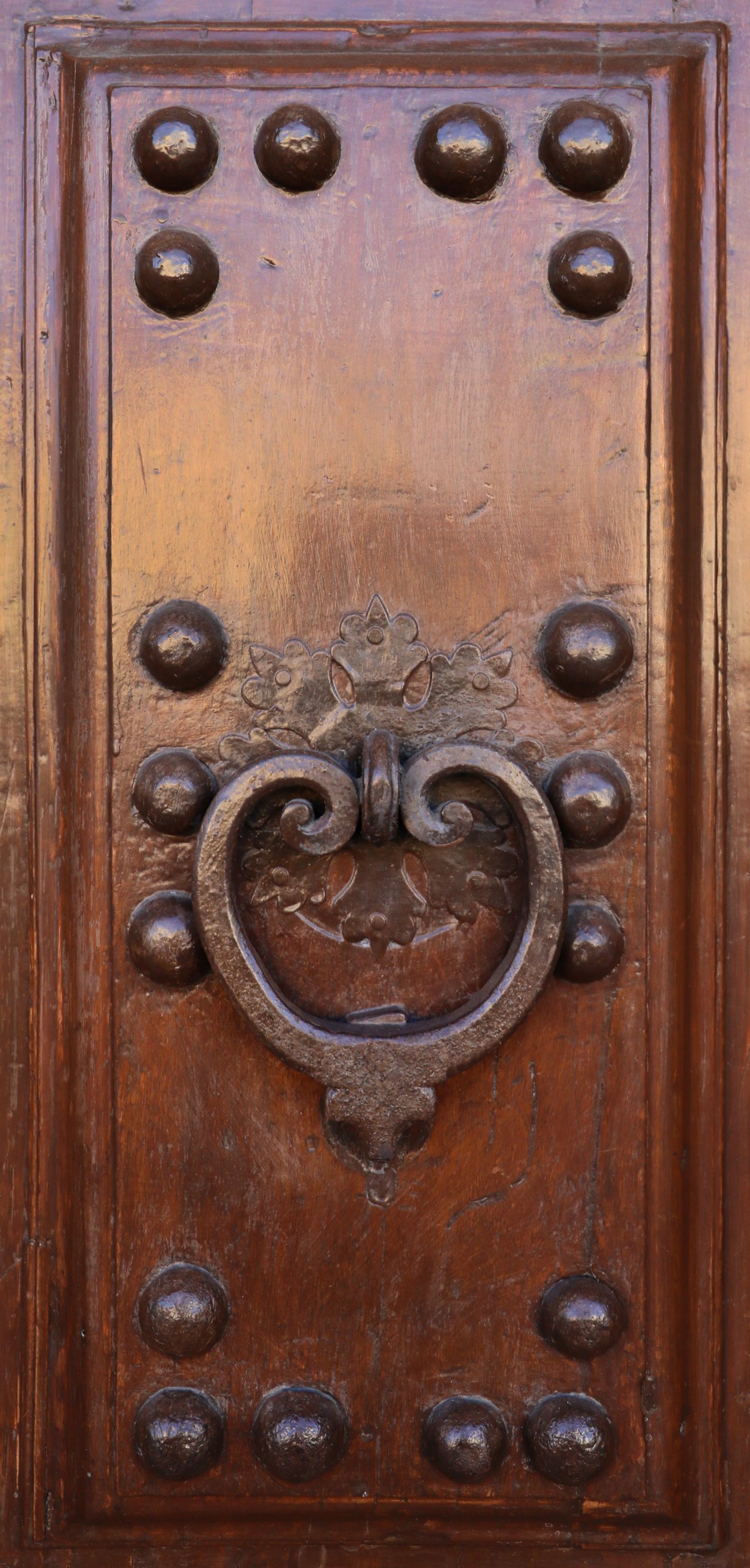 Elegant antique door handles on a historic building in Florence