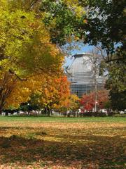 View of Major's Hill Park with lush green trees and Ottawa city skyline in the background