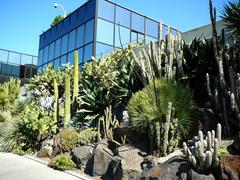 Succulent plants in Jardin arde at Parc Phoenix, Nice