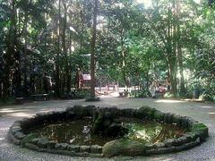 Park scene at Parque Trianon on Av. Paulista in São Paulo Brazil with green trees and walking paths