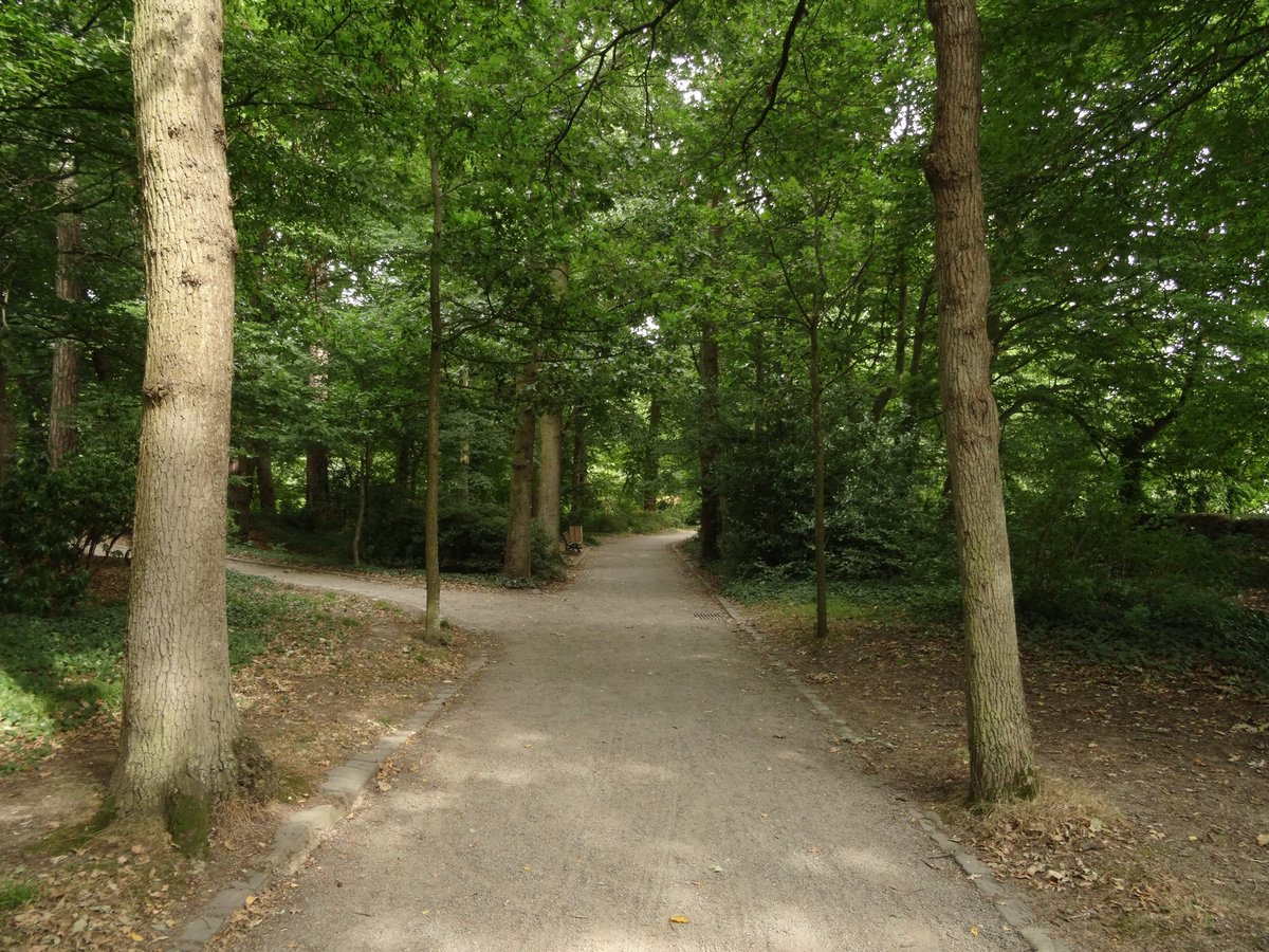 Scenic view of Parc Des Hautes-Ourmes with greenery and walking paths in Rennes, France