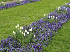 Flowers in bloom at Sankt Annæ Plads, Copenhagen, Denmark