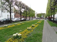 Sankt Annæ Plads square in Copenhagen with historic buildings and street view
