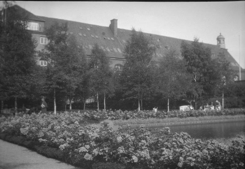 Christiansborg Palace and Slottsparken Park in Copenhagen