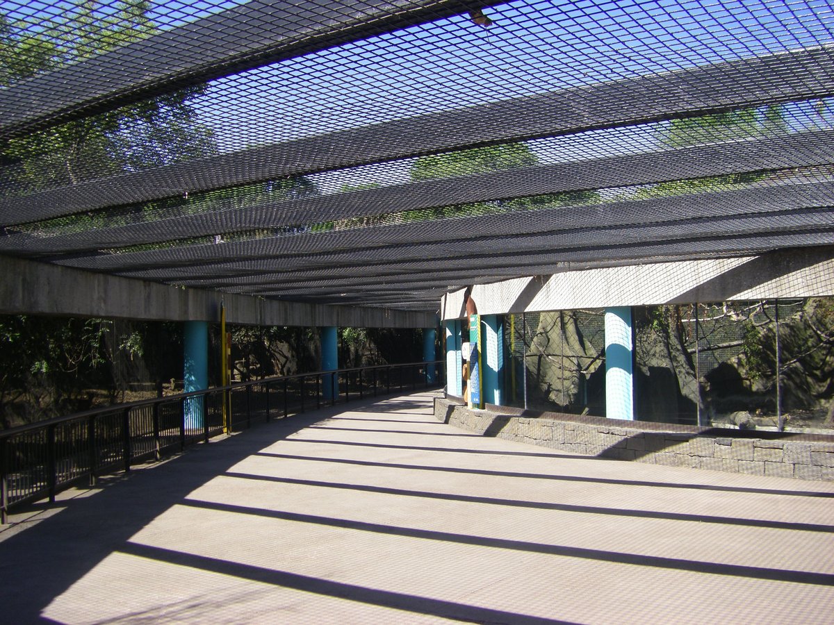 Indoor view of Chapultepec Zoo in Mexico City with various animal enclosures and visitors