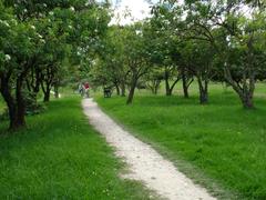 Off-road trail at Parque Central Simón Bolívar