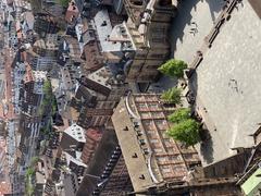 View of a city with a large Gothic cathedral from a high platform