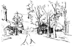 Plaine De Plainpalais