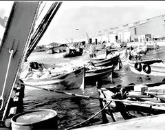 Historic view of early Tel Aviv cityscape