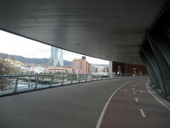 Bilbao cityscape featuring the Puente Eukalduna bridge over the river