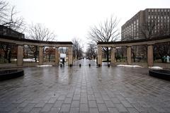 Roddick Gates at McGill University covered in snow during winter