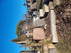 Anton Marcinowski's grave at Rosa Cemetery