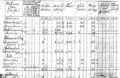 Historical cadastral map titled Terezijanski kataster za Kranjsko showing Gospostvo Bokalce with tax and contribution terms