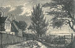 Old country road passing Bakkehuset in Denmark surrounded by gardens
