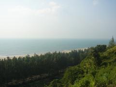 Scenic view of Himchari National Park with lush greenery and hills in Cox's Bazar