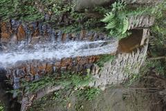 Himchari Fountain and Hill with lush greenery and water stream
