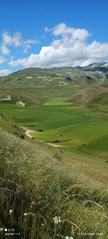 Scenic green grass patches at Castelluccio di Norcia