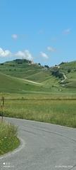 Blooming lentil fields in Castelluccio di Norcia landscape with vibrant red and green hues