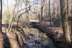 Turkeyfoot Creek flowing through Cascade Springs Nature Preserve in Atlanta
