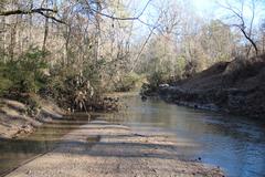 Scenic view of Utoy Creek flowing through Cascade Springs Nature Preserve in Atlanta with lush greenery and tall trees in winter