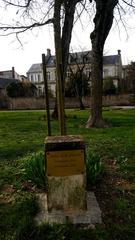 Arbre de la Laïcité planted on December 9, 2014, in Saint-Jean d'Angély