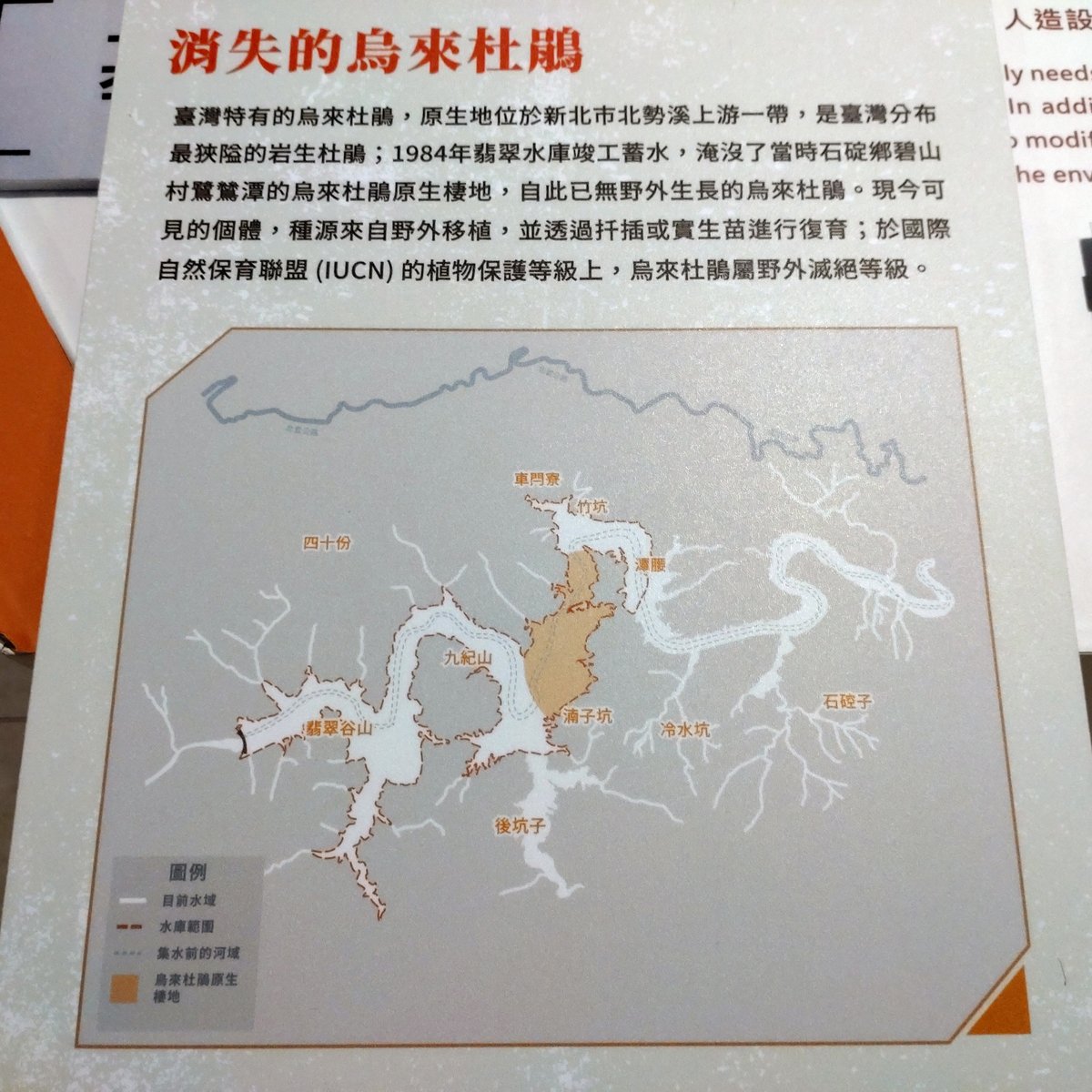 Distribution map of Rhododendron kanehirae in Wulai, Taiwan
