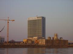 Torre 115