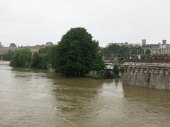 Flooded Square du Vert-Galant in Paris during 2016 flood seen from the left bank