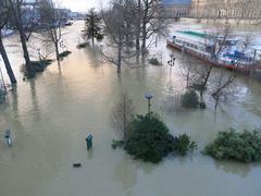 Flooded Square du Vert-Galant in Paris during January 2018 with water covering the area