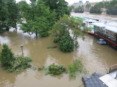 2016 flood in Paris at Square du Vert-Galant from Place du Pont-Neuf