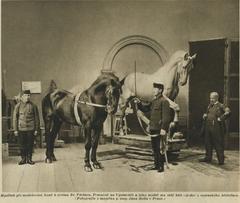 Sculptor J. V. Myslbek working on statue of St. Wenceslas horse