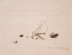 Dead insects painting by Menci Clement Crnčić, 1917