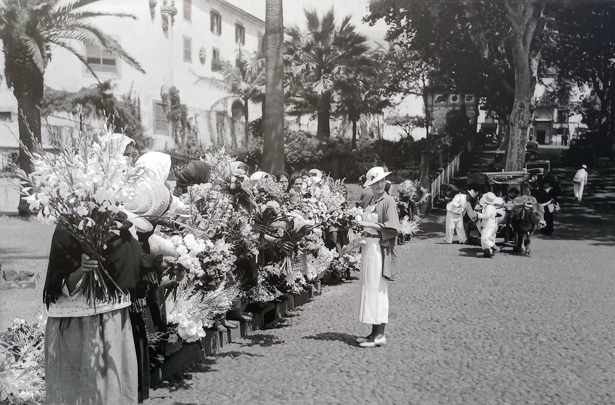 Vintage photo of elegant tourist in front of flower sellers at city entrance, with ox-cart descending Avenida Zarco towards São Lourenço Palace, Funchal, Madeira, 1930-1935