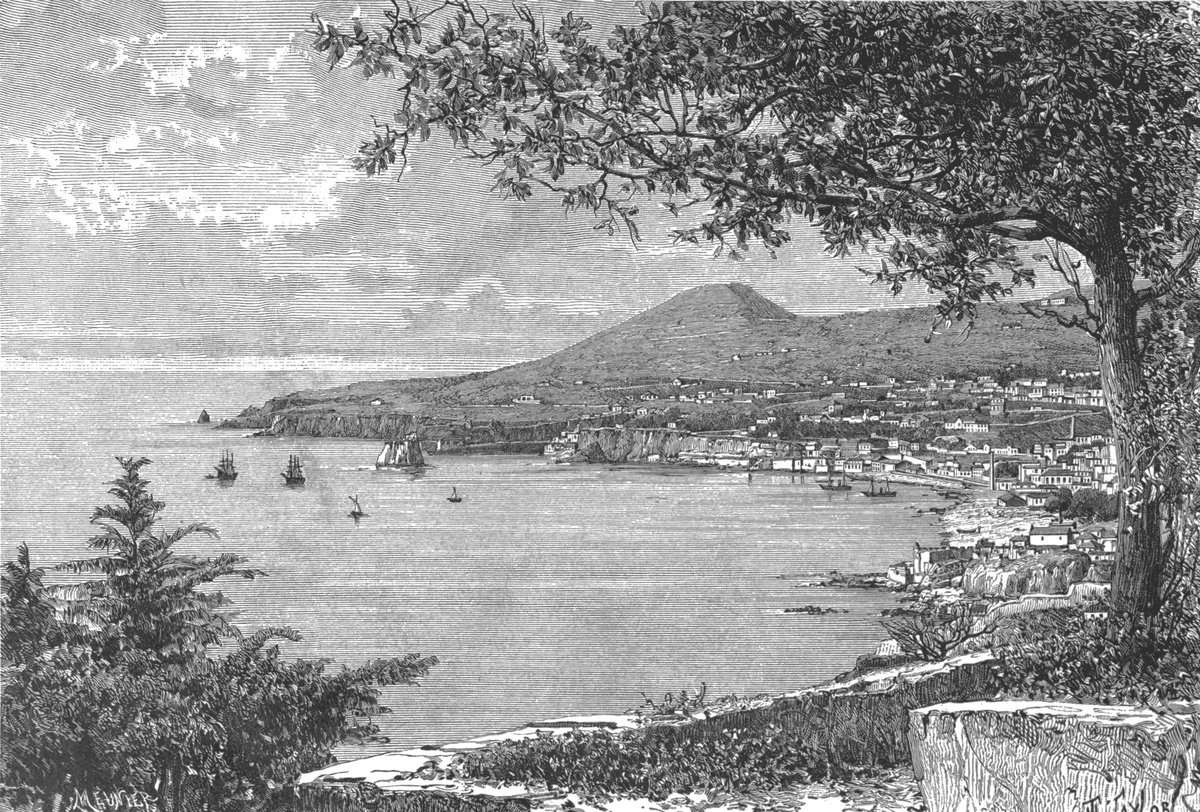 Panoramic east view of Funchal city with coastal scenery in Madeira