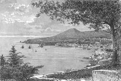 Panoramic east view of Funchal city with coastal scenery in Madeira