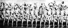 Dance troupe of a 1925 Buenos Aires revue at Teatro Maipo featuring Gloria Guzmán, Carmen Lamas, Celia Gámez and Tita Merello