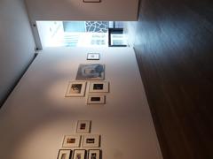 |
  The Photographers' Gallery