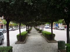 Central walkway on Bulevardi Zogu I in downtown Tirana Albania lined with trees and buildings