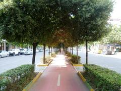 Zog I Boulevard central path in Tirana with green trees and urban buildings