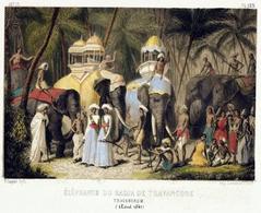 Elephants of the Rajah of Travancore at Trivandrum Kerala August 1841 historical illustration