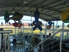 Vidyanagar Airport